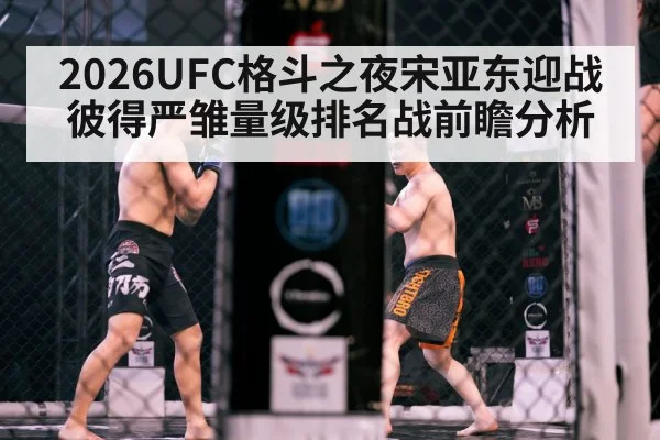 MMA fighters octagon cage fight