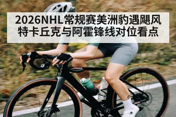 2026NHL常规赛美洲豹遇飓风特卡丘克与阿霍锋线对位看点