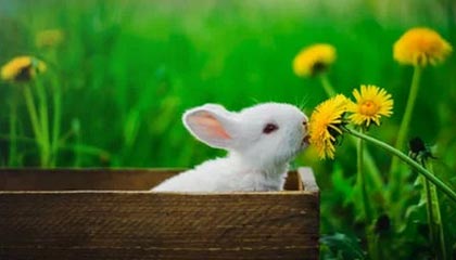 世界杯客户端升级说明-汤神训练中右小腿下部受伤 离场时腿部无法承重